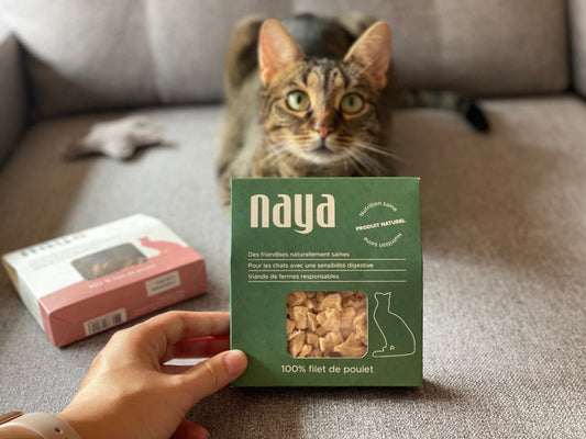 Les friandises naturelles, saines et gourmandes Naya pour les chats sensibles. 